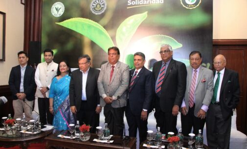 Solidaridad Asia & the Indian Tea Association as Partners organizes it’s First India International Small Tea Grower’s Convention in Kolkata
