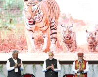 PM Modi launches International big cats alliance at commemoration of 50 years of project tiger